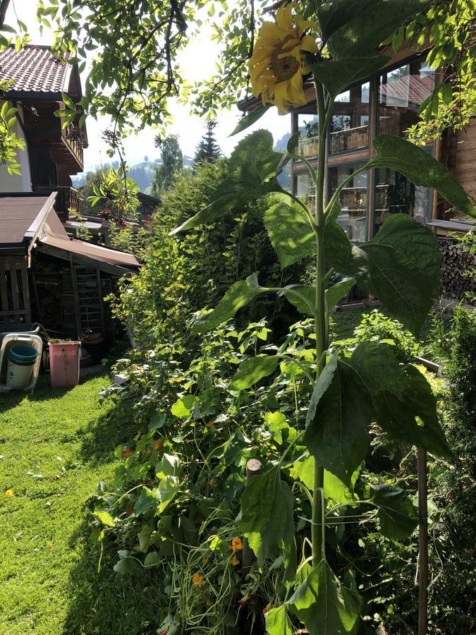 Gaestehaus Lackner Oberau Exterior photo